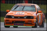 Truck_Superprix_and_Support_Brands_Hatch_280309_AE_045