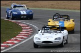 Truck_Superprix_and_Support_Brands_Hatch_280309_AE_101