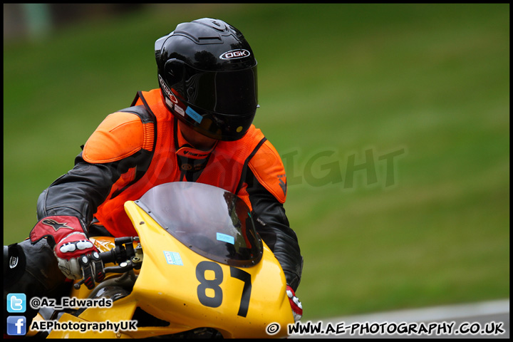 BMCRC_Brands_Hatch_280712_AE_005.jpg