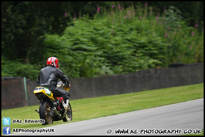 BMCRC_Brands_Hatch_280712_AE_020.jpg