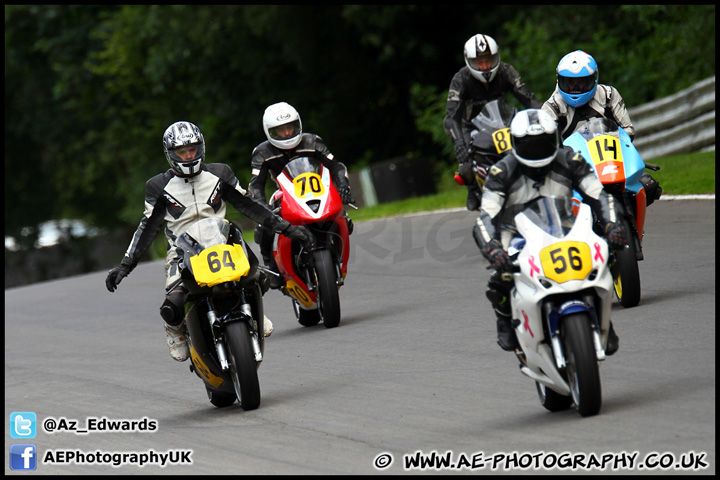 BMCRC_Brands_Hatch_280712_AE_241.jpg