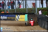 Formula_Ford_Festival_Brands_Hatch_281012_AE_021