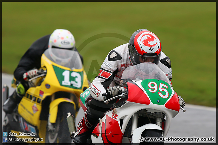 BMCRC_Brands_Hatch_29-03-15_AE_017.jpg