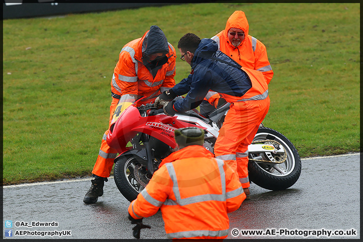 BMCRC_Brands_Hatch_29-03-15_AE_032.jpg