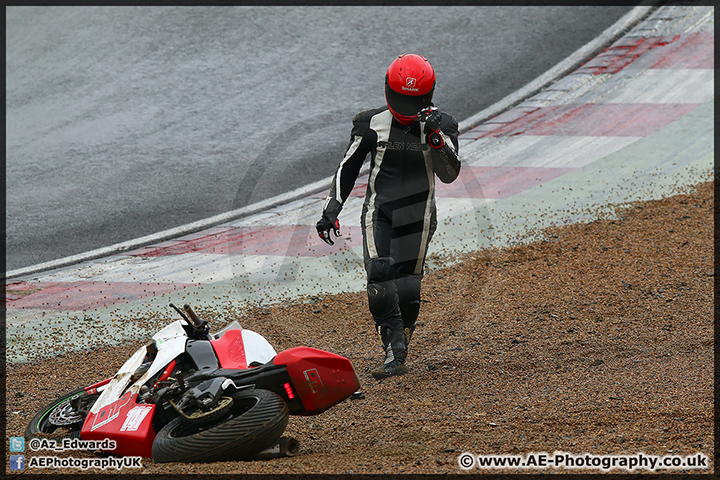 BMCRC_Brands_Hatch_29-03-15_AE_139.jpg