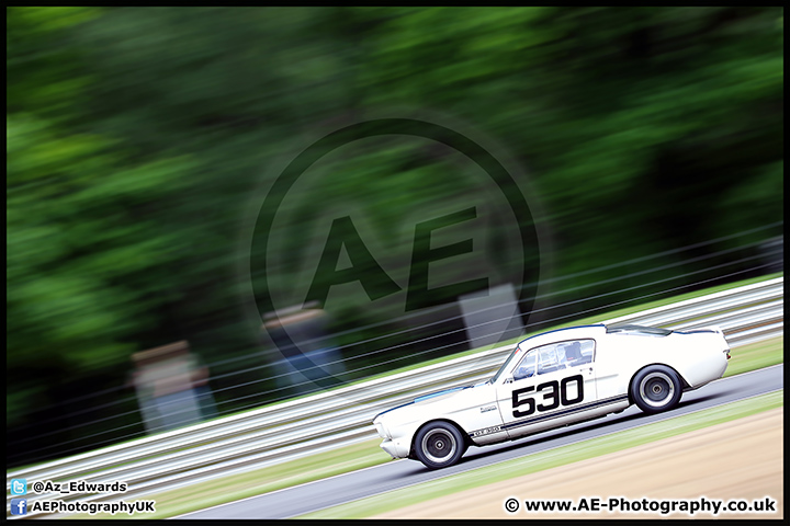 Masters_Brands_Hatch_29-05-16_AE_239.jpg