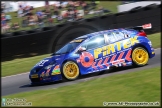 BTCC_Brands_Hatch_290314_AE_053