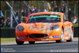 BTCC_Brands_Hatch_290314_AE_125