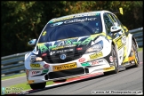 BTCC_Brands_Hatch_30-09-17_AE_035