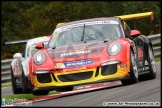 BTCC_Brands_Hatch_30-09-17_AE_060