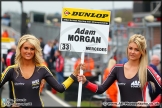 BTCC_Brands_Hatch_300314_AE_194