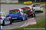 BTCC_Brands_Hatch_310313_AE_207