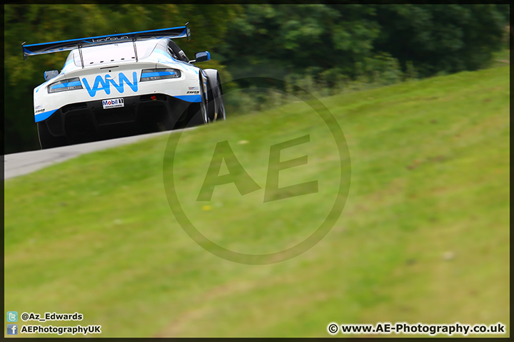 British_GT_Brands_Hatch_310814_AE_105.jpg