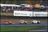 Truck_Superprix_and_Support_Brands_Hatch_311010_AE_097